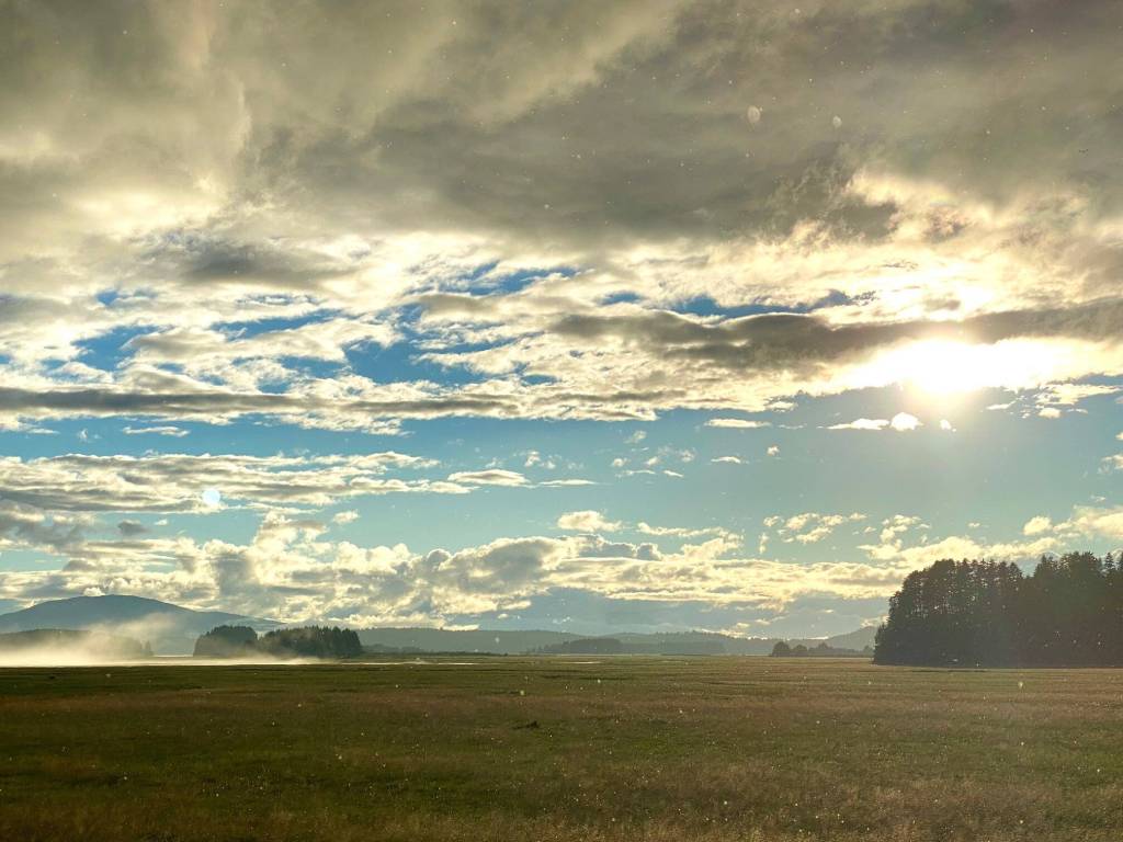 After the storm. Seen on the wetlands on Aug. 25, 2022. (Courtesy Photo / Denise Carroll)