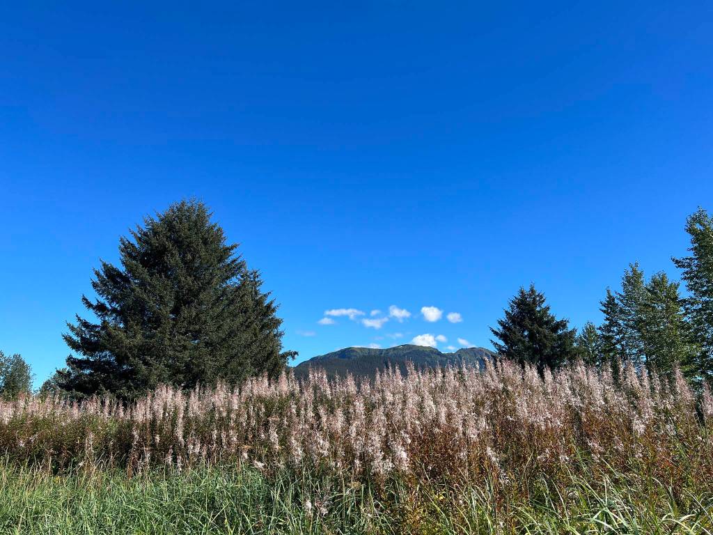 This photo was taken on a recent sunny day along the Airport Dike Trail. (Courtesy Photo / Deana Barajas)