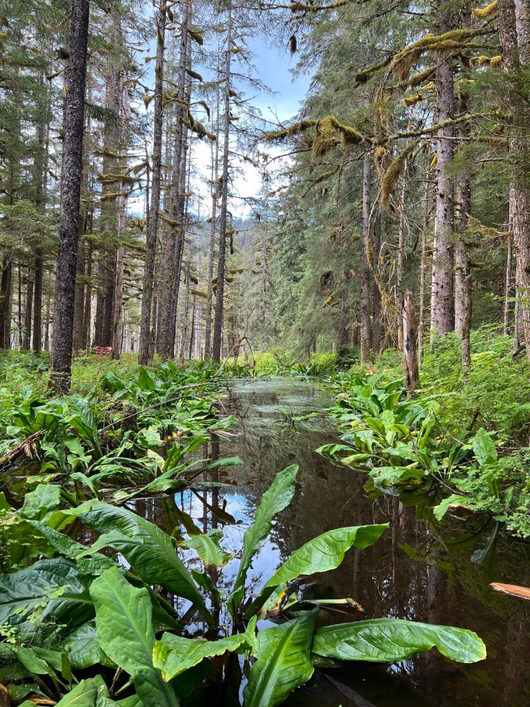 This photo was taken on Aug. 13 on the Windfall Lake Trail. (Courtesy Photo / Deana Barajas)