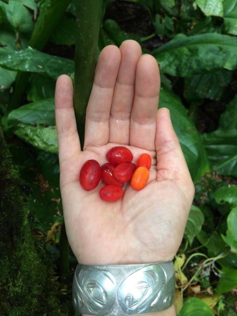Courtesy Photo / Yeilk Vivian Mork 
Yeilk Vivian Mork holds a handful of watermelon berries.