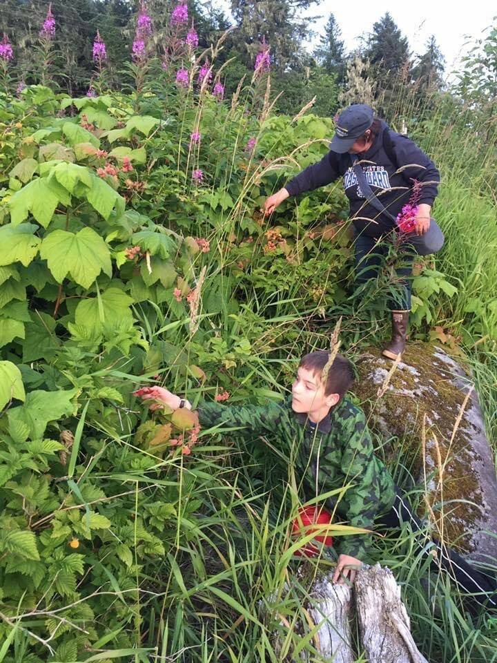 Picking thimblerries in Wrangell Alaska. Jackson Pearson (grandson/nephew) and Vivian Faith Prescott. Vivian Mork Yeilk photographer. (Courtesy Photo / Yeilk Vivian Mork)