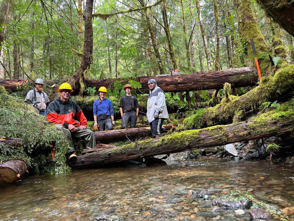 From left to right, Quinn Aboudara of Klawock Indigenous Stewards Forest Partnership, Rick Jackson of Keex Kwáan, Kelsey Dean of the Southeast Alaska Watershed Coalition, Cody Ellison of the Klawock partnership, and Kaagwaan Eesh Manuel Rose-Bell of Keex Kwáan pose at a recently completed stream structure. For thousands of years, old growth trees and branches fell into what is now Seven Mile Creek. When it was clear-cut logged in 1987, the stream habitat was drastically simplified, to the detriment of wild salmon and other fish. (Courtesy Photos / Mary Catharine Martin)