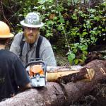 Cody Ellison and Quinn Aboudara of the Klawock Indigenous Stewards Forest Partnership consult on next steps for getting this particular log pictured into place. The Klawock partnership officially got off the ground in April with funding from the USDAs sustainability strategy. (Courtesy Photos / Mary Catharine Martin)