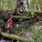 Rob Cadmus, Executive Director of the Southeast Alaska Watershed Coalition, and Quinn Aboudara of the Klawock Indigenous Stewards Forest Partnership work together on restoring fish habitat at Seven Mile Creek just outside Klawock Lake.