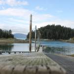 Only one boat sits at the end of the Amalga Harbor Dock. Officials said this years derby had been particularly slow compared to previous years. (Clarise Larson / Juneau Empire)