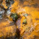In this October 2018 photo, leaves and rocks coated in acid mine drainage from the Tulsequah Chief Mine flow into a creek in the Tulsequah River in British Columbia, Canada. (Courtesy Photo / Chris Miller)
In this October 2018 photo, leaves and rocks coated in acid mine drainage from the Tulsequah Chief Mine flow into a creek in the Tulsequah River in British Columbia, Canada. (Courtesy Photo / Chris Miller)