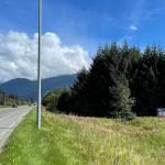 A political sign that was later removed sits in a field near the Mendenhall Wetlands. Rules around standalone political signs are tightly regulated in Alaska. (Michael S. Lockett / Juneau Empire)