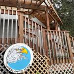 Michael S. Lockett / Juneau Empire 
The Juneau Raptor Centers new bald eagle enclosure atop Mount Roberts provides a summer home for their static display eagle Lady Baltimore.