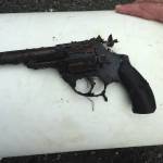 A Palmer man was convicted of ten felonies including two murders, following which he attempted to conceal this revolver by burying it in a marsh. (Courtesy Photo / DOJ)