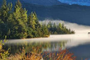 Sun lights up a foggy morning in the Tongass National Forest. (Courtesy Photo / Amanda Ristau, Untamed Majesty Photography)