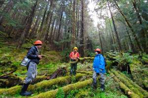 U.S. Forest Service staff discuss in August a wildlife opening cut to improve lighting for a surface plant development in the Maybeso Experimental Area on Prince of Wales Island as part of a regeneration project following large-scale industrial harvesting occurring since the 1950s. U.S. Department of Agriculture Secretary Tom Vilsack on Tuesday announced $12.4 million in grants for natural resource sustainability and development projects in Southeast Alaska communities. (Jessica Davila / U.S. Forest Service)