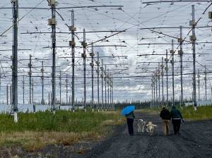 During a recent open house, visitors walk their dogs beneath an antenna field used to heat the upper atmosphere during space physics experiments at a facility known as HAARP between Glennallen and Tok. (Courtesy Photo / Ned Rozell)