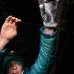 Biologist Jesika Reimer removes a little brown bat from a mist net on Joint Base Elmendorf-Richardson in 2018. (Courtesy Photo / James Evans, University of Alaska Anchorage)