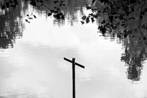 Lucas van Ort / Unsplash