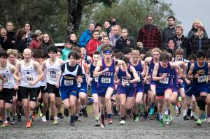 A total of 145 boys from 10 Southeast Alaska high schools dash out from the starting line at the Capital City Invite at A Káx Yaa Andagan Yé (Sandy Beach) on Saturday morning. The 5K race for boys’ and girls’ teams was the region’s largest cross-country race of the season, and final regular season competition before the regional championship in Sitka this weekend. (Mark Sabbatini / Juneau Empire)