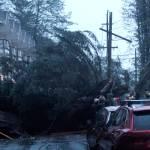 A tree lies across Gastineau Avenue on Monday evening after falling between two homes and crushing at least one vehicle. Firefighters and police closed the street to traffic, and evacuated homes along the street as well as buildings extending down to Franklin Avenue. The evacuation is expected to last at least 24 hours. (Mark Sabbatini / Juneau Empire)