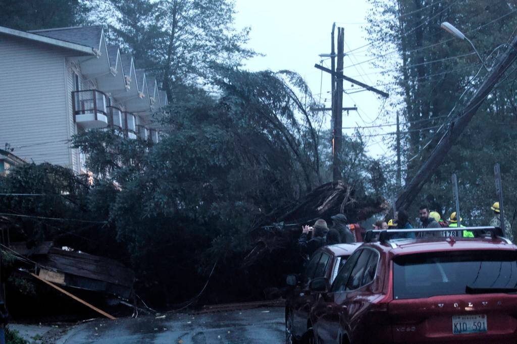A tree lies across Gastineau Avenue on Monday evening after falling between two homes and crushing at least one vehicle. Firefighters and police closed the street to traffic, and evacuated homes along the street as well as buildings extending down to Franklin Avenue. The evacuation is expected to last at least 24 hours. (Mark Sabbatini / Juneau Empire)