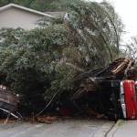 A residents truck laid on its side after being crushed by a large fallen tree the night before due to a landslide. (Clarise Larson / Juneau Empire)