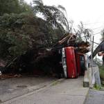 Clarise Larson / Juneau Empire
A CCFR responder was at the site of major wreckage on Gastineau Avenue that was caused due to a landslide during a heavy rainstorm Monday evening. The slide knocked a tree down across Gastineau Avenue, destroying a power pole that resulted in power outages around Juneau and causing other wreckage on the residential street.