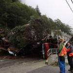 Clarise Larson / Juneau Empire
People gathered Tuesday morning at the section of Gastineau Avenue that sustained damage from the landslide on Monday evening. The day after the landslide, officials assessed damage and prepared for a multi-day cleanup effort.