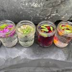 Flavored waters using local ingredients/plants and berries. (Vivian Faith Prescott / For the Capital City Weekly)