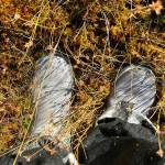 Muskeg is very wet this time of year as seen while picking cranberries in Wrangell. (Vivian Faith Prescott / For the Capital City Weekly)