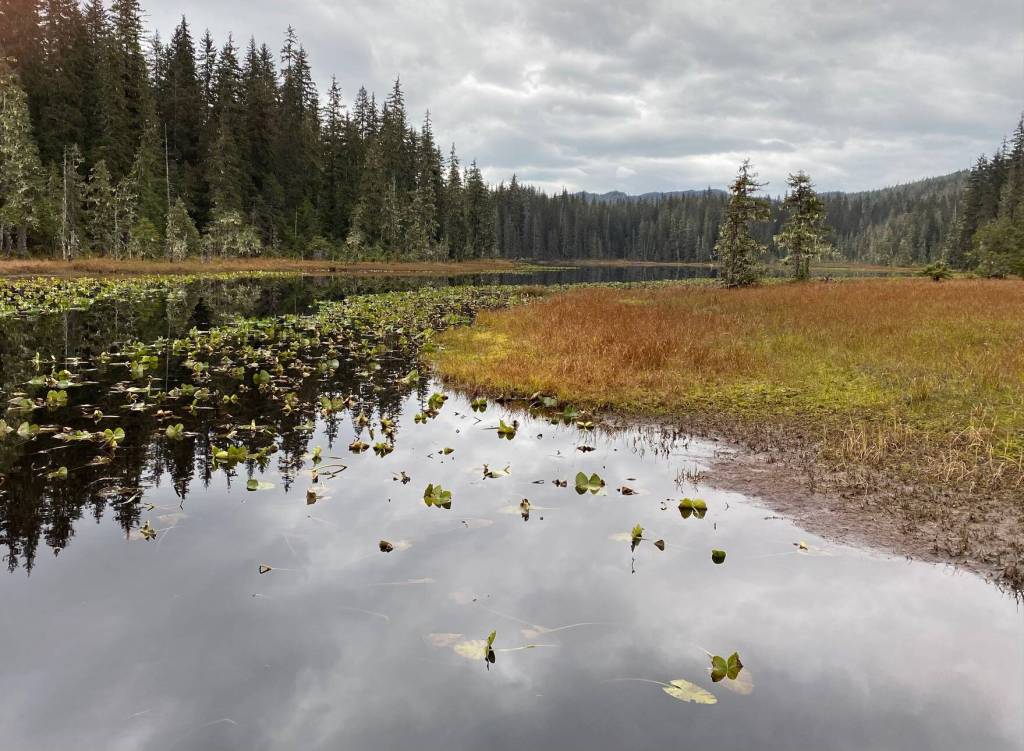 Reflections and pond lilies in Peterson Lake as seen on Oct. 5. (Courtesy Photo / Denise Carroll)