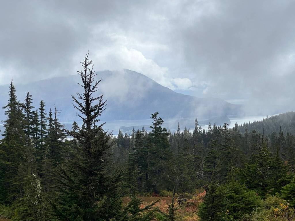 Mist rises along the Auke Nu Trail to John Muir Cabin. (Courtesy Photo / Deana Barajas)