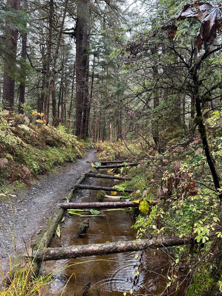 This photo was taken along the Treadwell Ditch Trail. (Courtesy Photo / Deana Barajas)