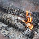 Wood chips burn in a fire pit during the event. People were allowed to write names on chips from the project, which then were burned with the hope that the act brings healing to the person whose name was written on the wood. (Clarise Larson / Juneau Empire)