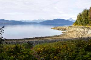 Jensen-Olson Arboretum is switching to its winter hours. (Michael S. Lockett / Juneau Empire File)
