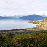 Jensen-Olson Arboretum is switching to its winter hours. (Michael S. Lockett / Juneau Empire File)