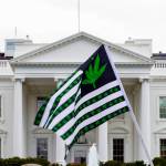 A demonstrator waves a flag with marijuana leaves depicted on it during a protest calling for the legalization of marijuana, outside of the White House on April 2, 2016, in Washington. President Joe Biden is pardoning thousands of Americans convicted of simple possession of marijuana under federal law, as his administration takes a dramatic step toward decriminalizing the drug and addressing charging practices that disproportionately impact people of color. (AP Photo / Jose Luis Magana)