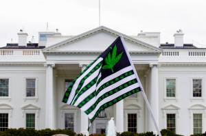 FILE - A demonstrator waves a flag with marijuana leaves depicted on it during a protest calling for the legalization of marijuana, outside of the White House on April 2, 2016, in Washington. President Joe Biden is pardoning thousands of Americans convicted of “simple possession” of marijuana under federal law, as his administration takes a dramatic step toward decriminalizing the drug and addressing charging practices that disproportionately impact people of color. (AP Photo/Jose Luis Magana, File)