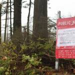 A sign stands at the site of a proposed 444-unit subdivision along the 7400 block of Glacier Highway in Juneau. (Jonson Kuhn / Juneau Empire)
A sign stands at the site of a proposed 444-unit subdivision along the 7400 block of Glacier Highway in Juneau. (Jonson Kuhn / Juneau Empire)