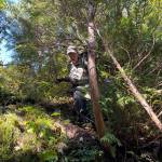 The authors wife navigates a steep section of the secret deer hunting spot that has been objectively underwhelming, but subjectively epic-in-the-making. Hopefully. (Jeff Lund / For the Juneau Empire)