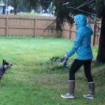 Olena Pomynalnyi tosses a ball to a dog in the back yard of the Mendenhall Valley home her family hopes to live in for at least the next two years. (Mark Sabbatini / Juneau Empire)