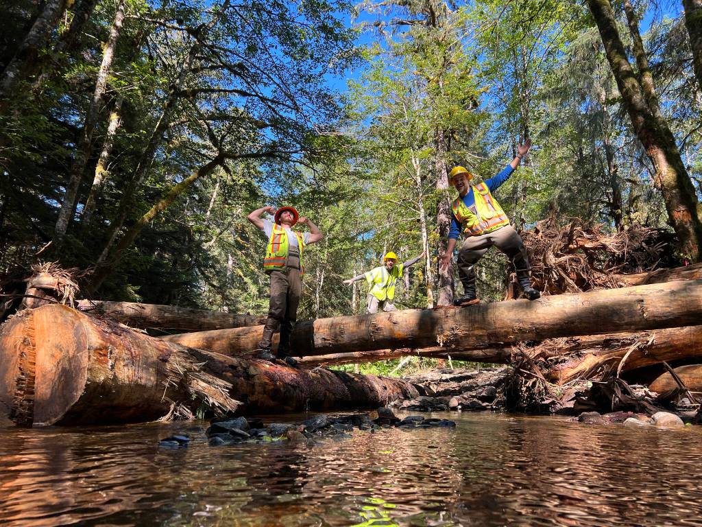 From left, VetsWorks Taran Snyder, a natural resource specialist with the U.S. Forest Service; USFS hydrologist Heath Whitacre; and USFS fish biologist Eric Castro strike a pose on a recently completed stream structure. Joking aside, the stream structure was years of hard work and planning in the making and shortly after installation it had already helped create deeper pools in a degraded stream  which means better spawning and rearing habitat for salmon and other fish. (Mary Catharine Martin / SalmonState)