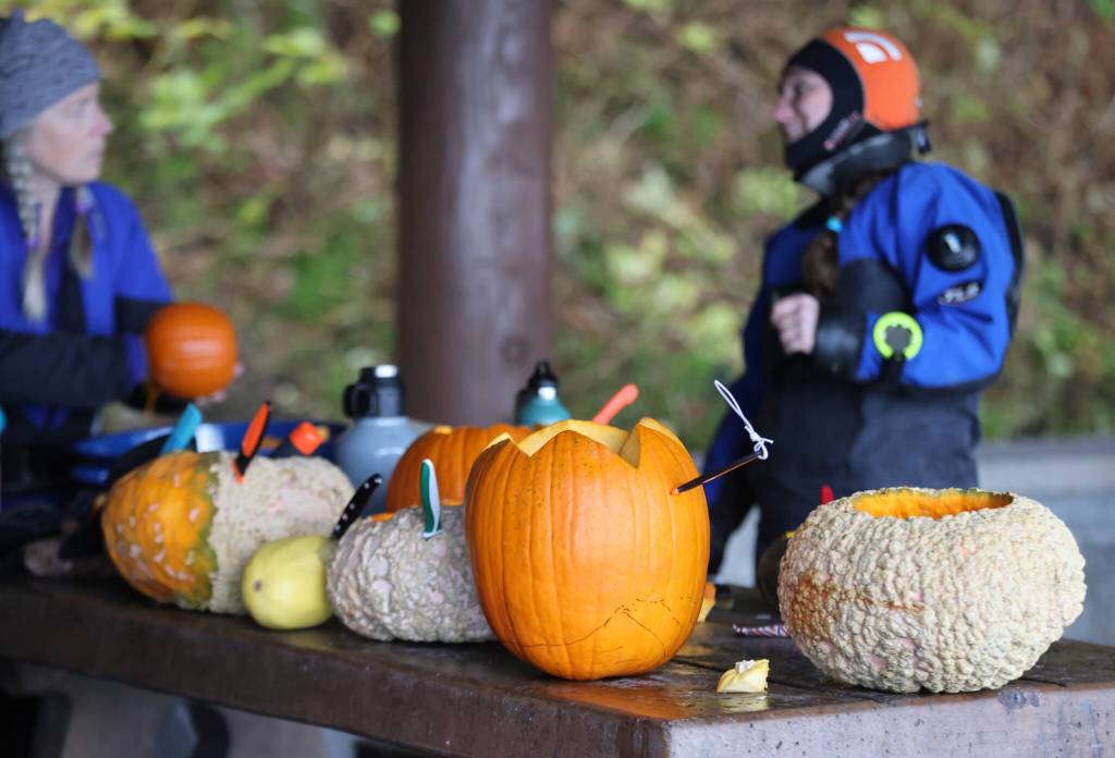 A variety of gourds await carving under the Eagle Shelter at Auke Rec. (Ben Hohenstatt / Juneau Empire)