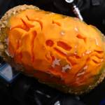 Muriel Dittrichs pumpkin won Best In Show at an underwater pumpkin carving event held Sunday at Auke Rec. (Ben Hohenstatt / Juneau Empire)