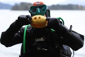 Mari Fester holds up a carved spaghetti squash that filled in for a pumpkin during an underwater carving event held Sunday at Auke Rec. With more standard fare in short supply locally, acorn pumpkins, warty pumpkins and even a pumpkin sourced from Anchorage thanks to a traveler passing through served as canvases for the aquatic artists. (Ben Hohenstatt / Juneau Empire)