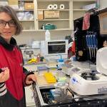 Josephine Galipon of Keio University in Japan holds a cylinder of frozen soil extracted by her colleague Go Iwahana from the U.S. Armys Permafrost Tunnel Research Facility in Fox, Alaska. She is looking for microorganisms that might still be alive in the ancient soil. (Courtesy Photo / Ned Rozell)