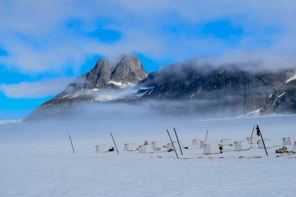 Alaska sled dogs with Alaska Icefield Expeditions Inc. rest by their houses on Norris Glacier Aug. 11, 2022. The company provides tours on different glaciers around Juneau every summer. (Courtesy Photo / Abbie Gressley)