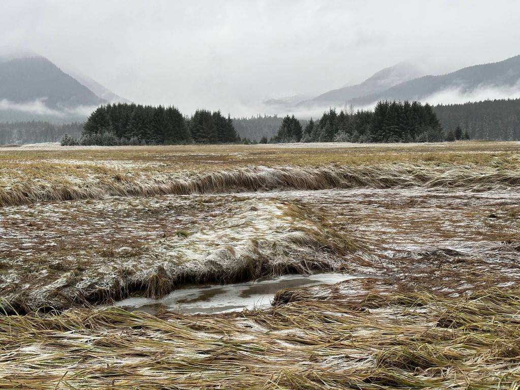 This photo was taken recently along the Airport Dike Trail. (Courtesy Photo . Deana Barajas)