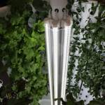 Greens flourish in the bright lights of one of the six hydroponic units located in the hydroponic cultivation and demonstration facility at the Chatham School District building in Angoon. The room, lined with plastic and filled with six indoor hydroponic growing pods, was built after receiving a Department of Early Education and Development American Rescue Plan Act grant this spring, which funded the renovation of its science lab into the new facility. (Clarise Larson / Juneau Empire)