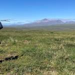 Bird researcher Jesse Conklin uses a radio antenna to relocate young bar-tailed godwits outside Nome on July 15, 2022. One of the birds Conklin and Dan Ruthrauff fitted with a satellite transmitter that day later flew from Alaska to Tasmania in a nonstop 11-day trip. (Courtesy Photo / Dan Ruthrauff)