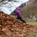 KinderReady Preschool student Alex Easton charges at a giant pile of leave Tuesday morning at the Evergreen Cemetery. (Clarise Larson / Juneau Empire)