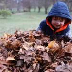 KinderReady Preschool student Declan Wilson lands in a pile of leaves Tuesday morning at the Evergreen Cemetery. The leaf pile is an annual event organized by Linda Torgerson and has been happening in Juneau for around 25 years.(Clarise Larson / Juneau Empire)