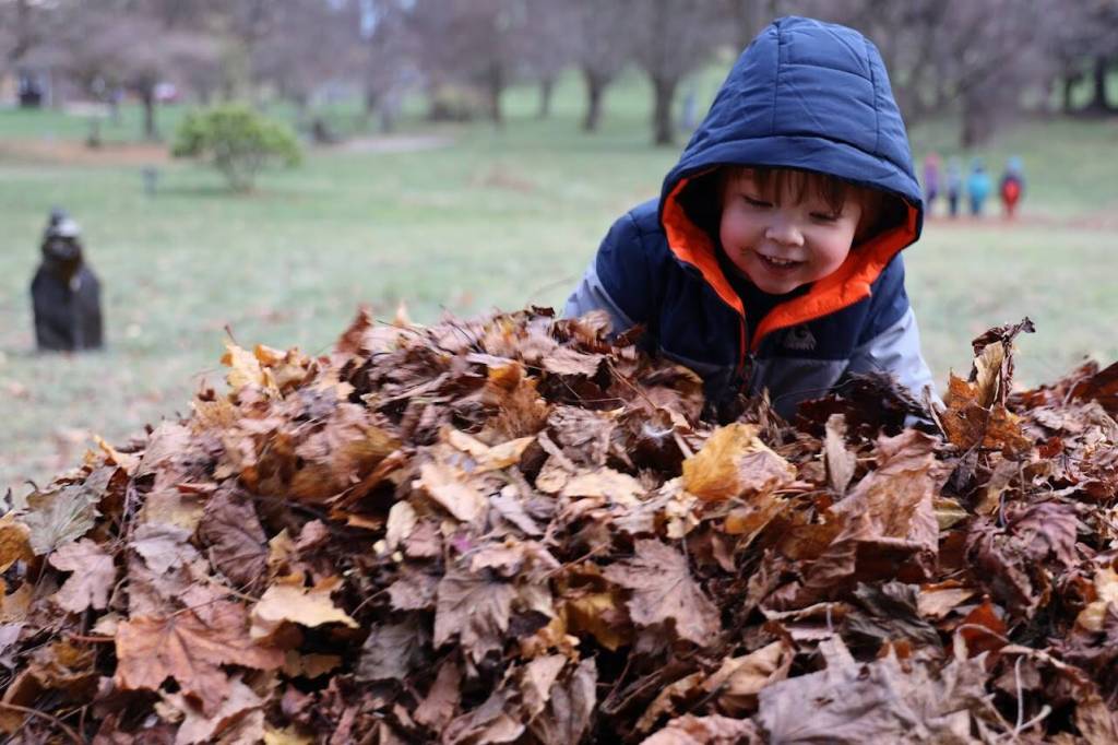 KinderReady Preschool student Declan Wilson lands in a pile of leaves Tuesday morning at the Evergreen Cemetery. The leaf pile is an annual event organized by Linda Torgerson and has been happening in Juneau for around 25 years.(Clarise Larson / Juneau Empire)