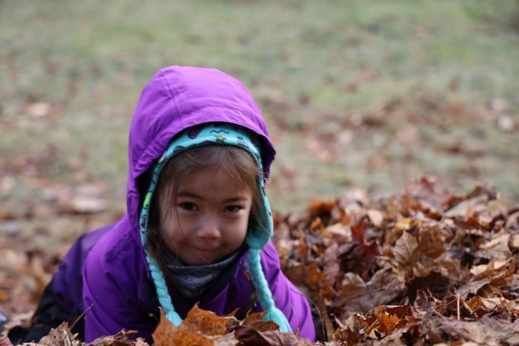 Alex Easton lands into a pile of leaves Tuesday morning at the Evergreen Cemetery. The leaf pile is an annual event organized by Linda Torgerson and has been happening in Juneau for around 25 years. (Clarise Larson / Juneau Empire)